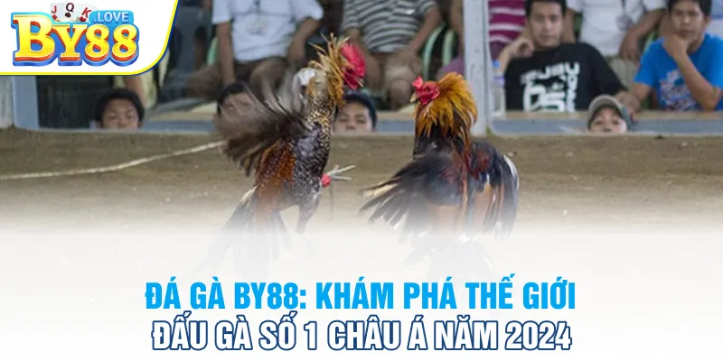 Đá Gà BY88: Khám Phá Thế Giới Đấu Gà Số 1 Châu Á Năm 2024