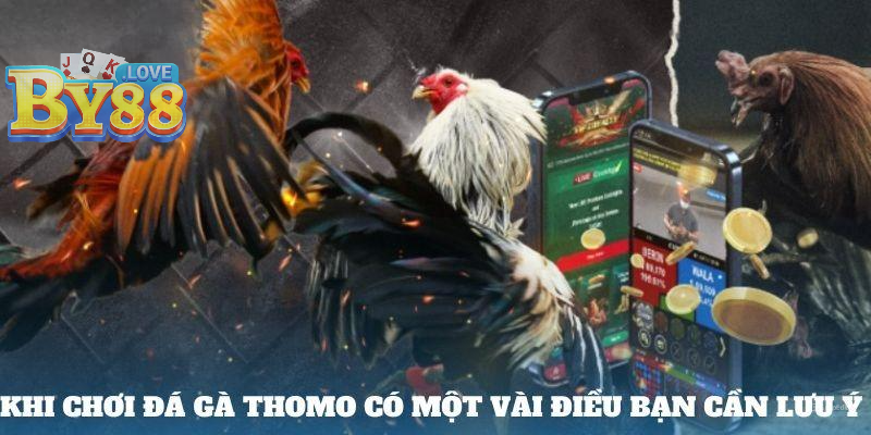 Khi chơi đá gà Thomo có một vài điều bạn cần lưu ý