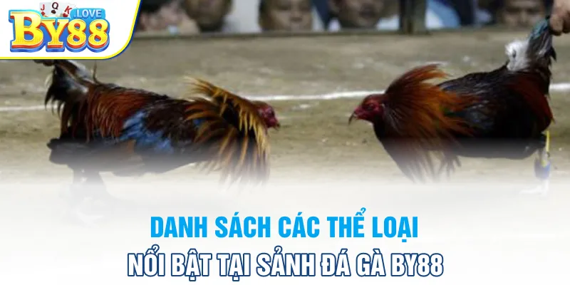 Danh sách các thể loại nổi bật tại sảnh đá gà BY88